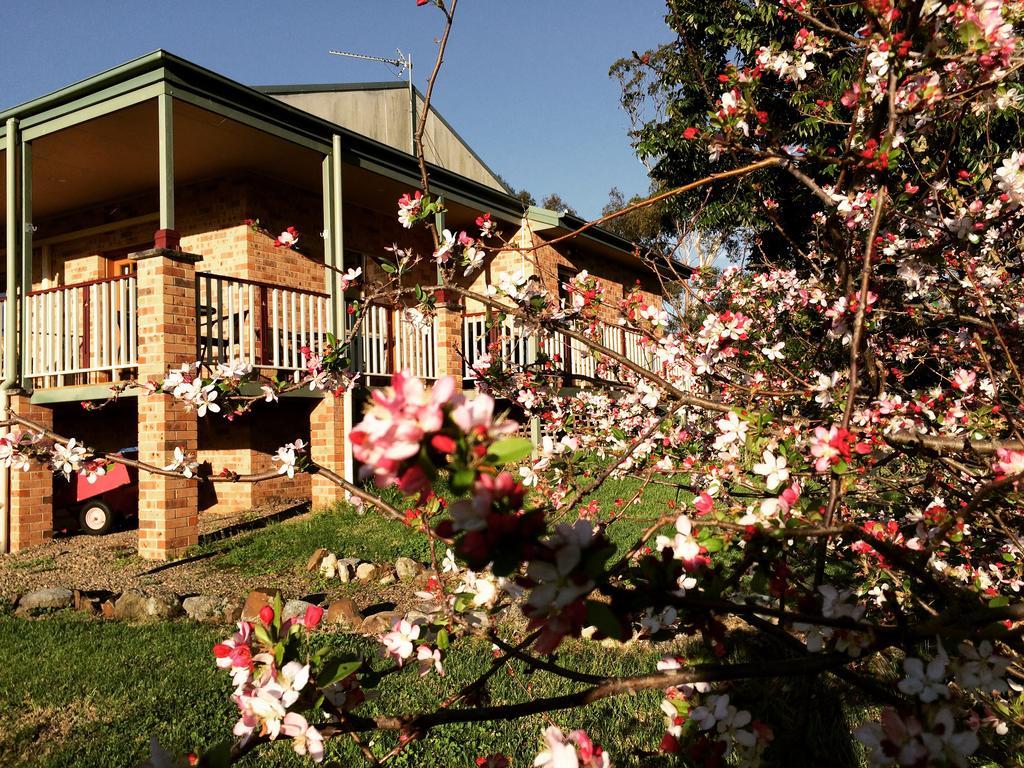 Farm stay Bryn Glas Farm Moruya